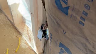 Started insulation in the big tiny house