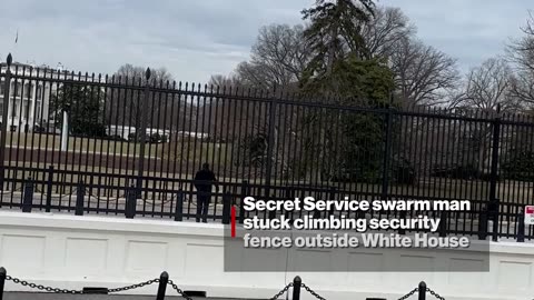 Secret Service swarm black-clad man who tried climbing over White House fence