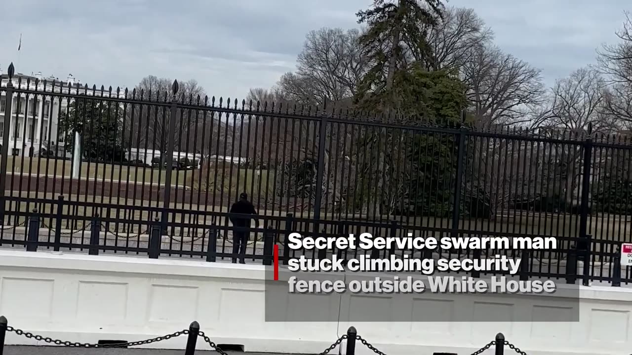 Secret Service swarm black-clad man who tried climbing over White House fence