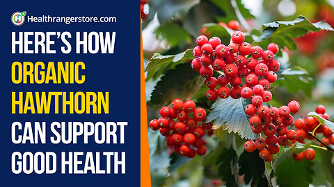 Here’s how Organic Hawthorn can support good health