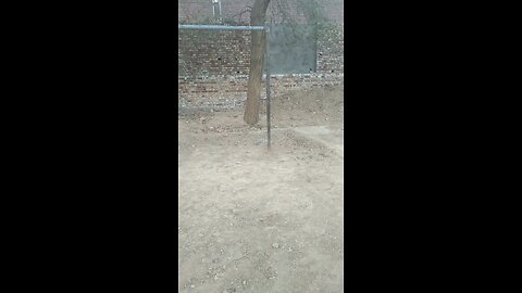 straight the leg