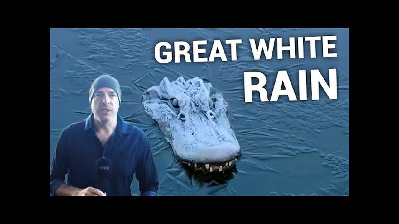 Great White Rain Returns After 130 Years