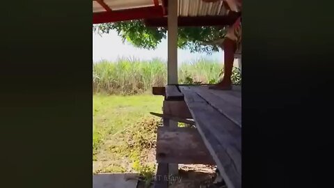 funny fails