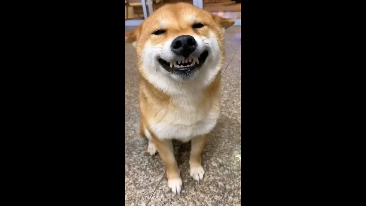 Hiii hihi hiiiiiihihihi