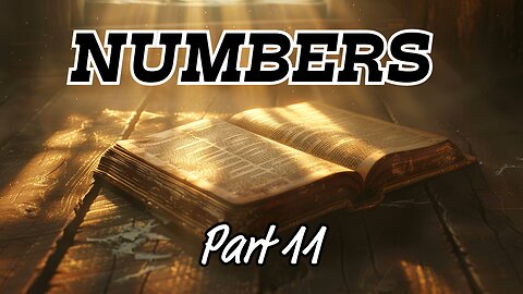 Reading the Book of Numbers: Word-for-Word, With Commentary (Part 11)