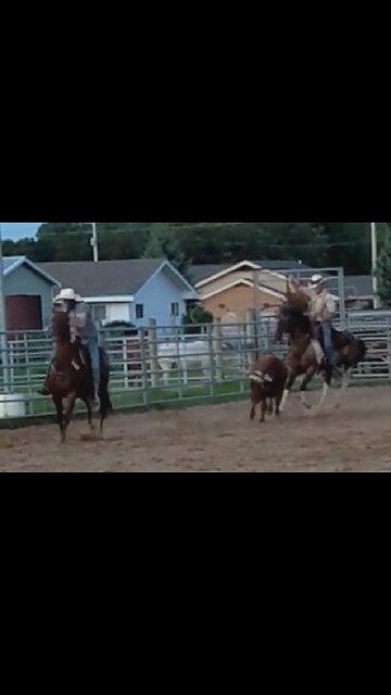Joel & Jack team roping practice - 12 Aug 2022