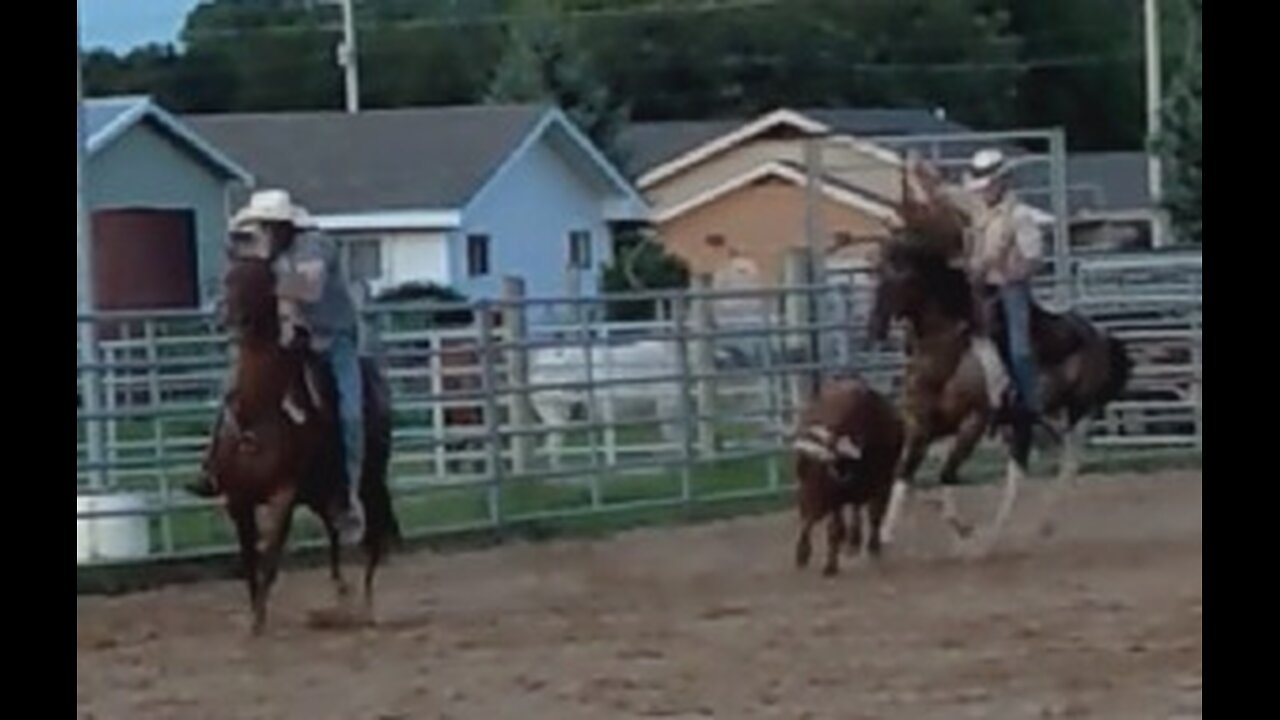 Joel & Jack team roping practice - 12 Aug 2022