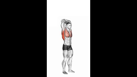 Standing Reach Up Back rotation Stretch Exercise