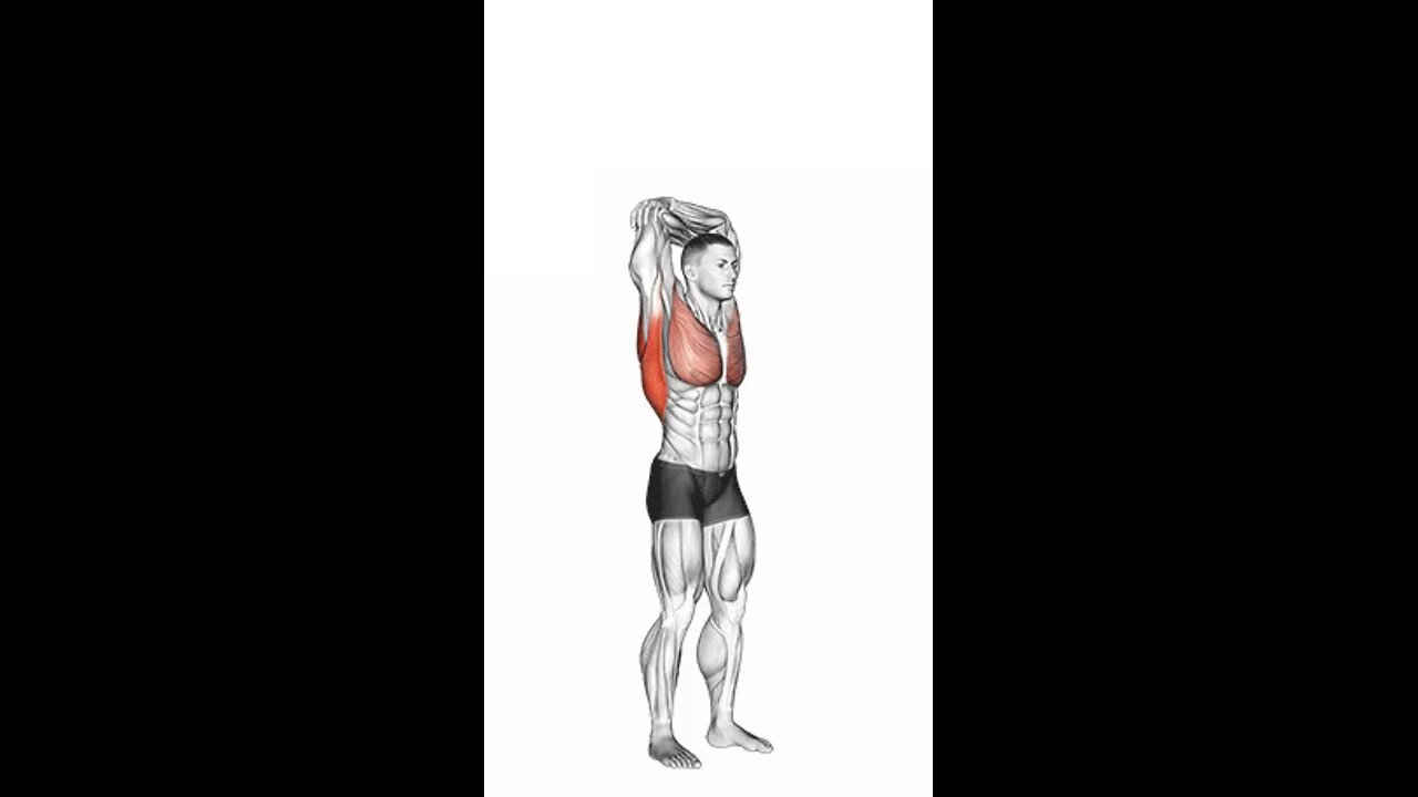 Standing Reach Up Back rotation Stretch Exercise