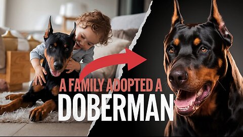 A Family Adopted a Doberman 🐾 Pets Guidelines