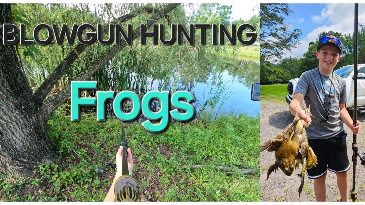 Blowgun Hunting Frogs