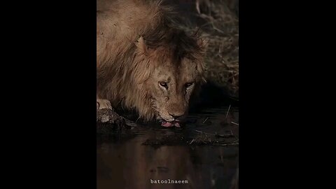 #foryoupage#viralvideo
