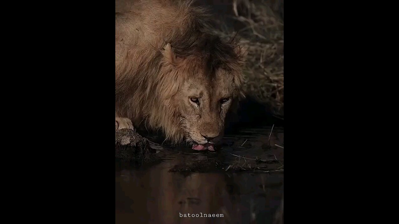 #foryoupage#viralvideo