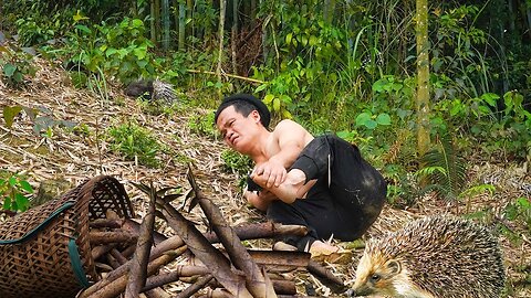 Dwarf Family Attacked by a Porcupine – Trading Wild Bamboo Shoots for Rice