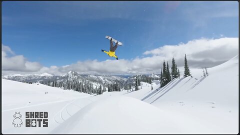 RETURN | Shredbots