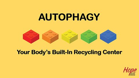 Autophagy—Your Body's Built-In Recycling Center