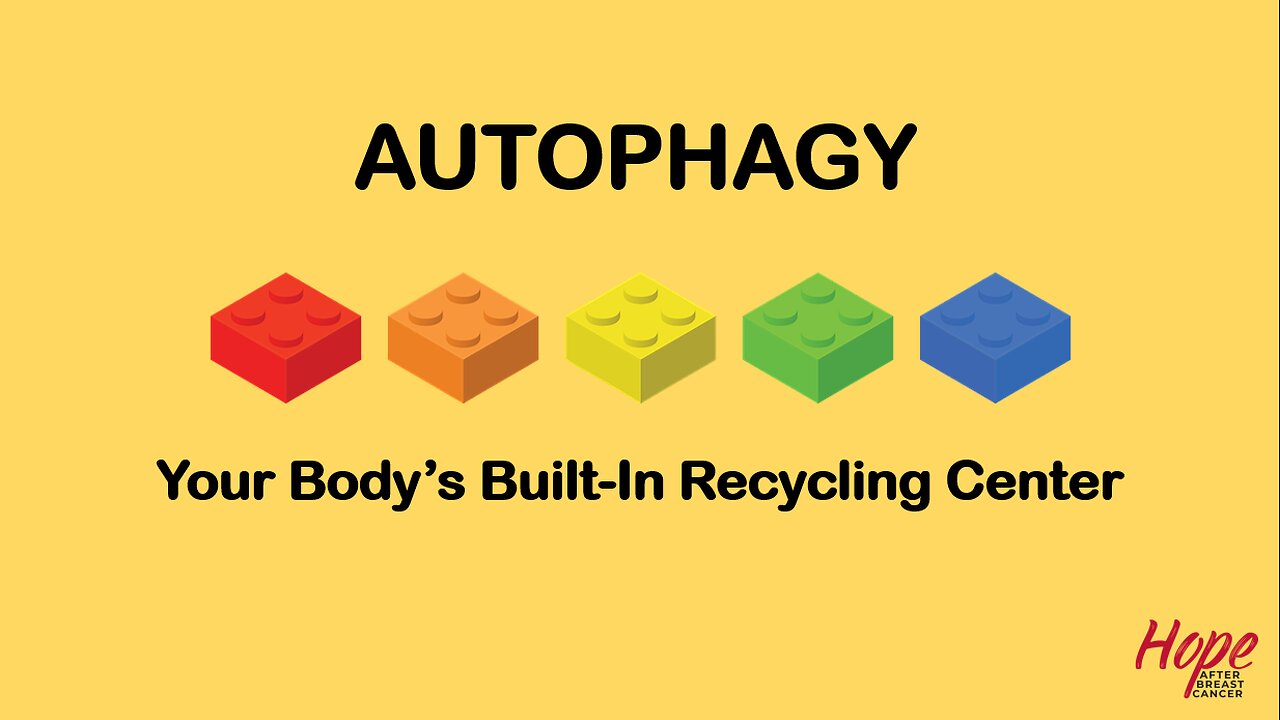 Autophagy—Your Body's Built-In Recycling Center