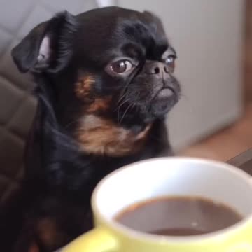 Still mad but is warming up to the idea of forgiveness