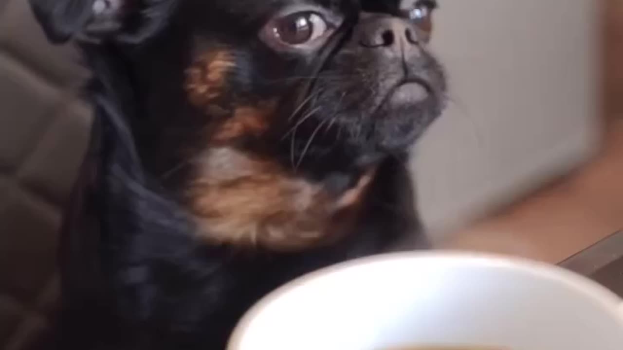 Still mad but is warming up to the idea of forgiveness