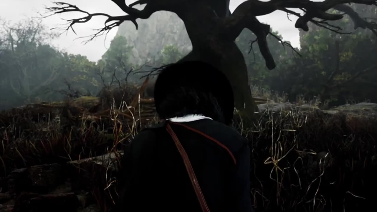 16 NEW Action RPG`s Releasing In 2025 & Beyond | PC, PS5, XSX, PS4