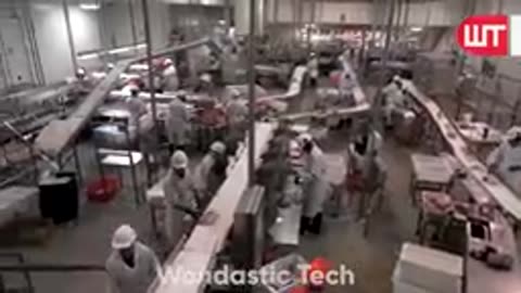 Modern Meat Processing Factory - Million Dollar Cow Processing Technology & Cutting Line