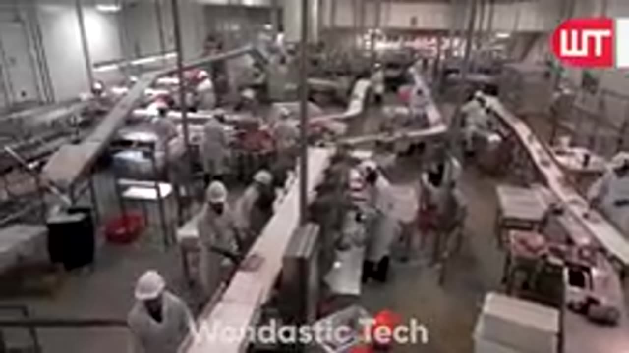 Modern Meat Processing Factory - Million Dollar Cow Processing Technology & Cutting Line
