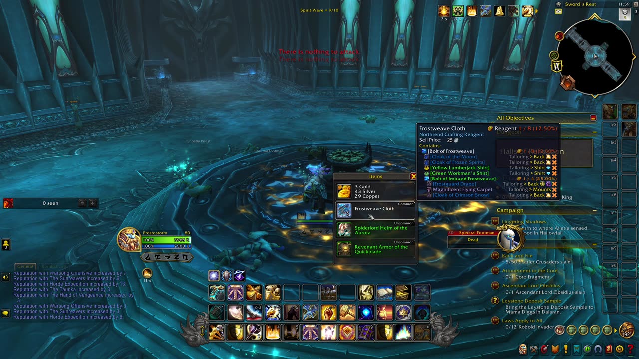 World of Warcraft Paladin Halls of Reflection Bugged