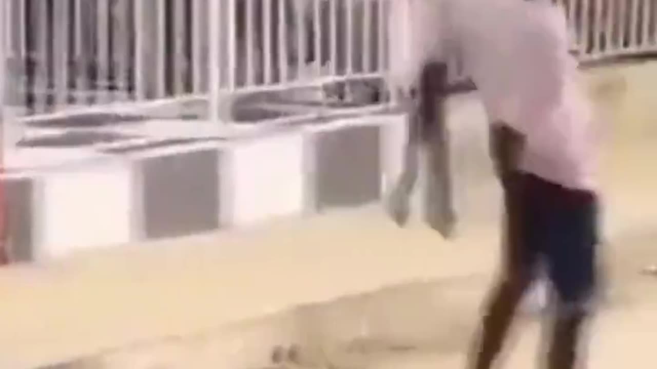 Funny video