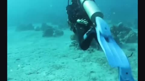 This is What They Found at The Bottom of The Red Sea!