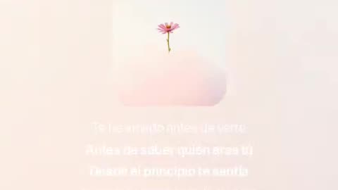 Te He Amado