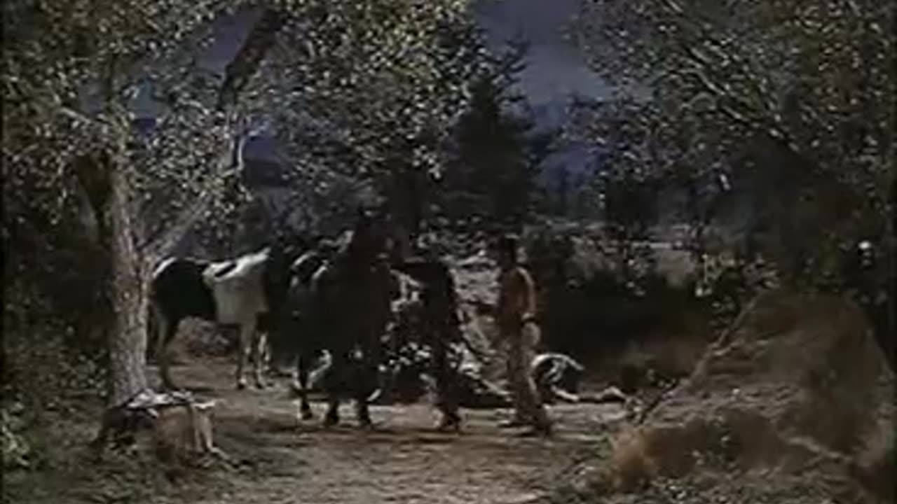 1Bonanza -Showdown