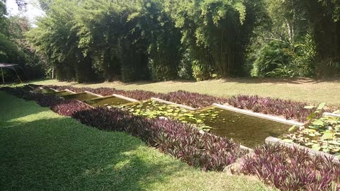 Brief Garden Sri Lanka, by Bevis Bawa