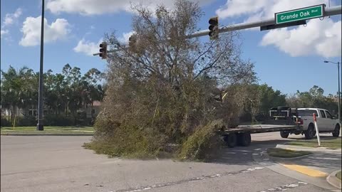 Truck Drags Tree Down Road