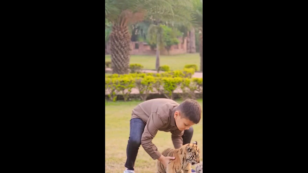 funny animals