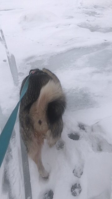 Friday January 17, Even so you have done well.