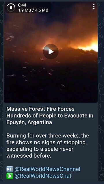 News Shorts: Forest Fire in Argentina