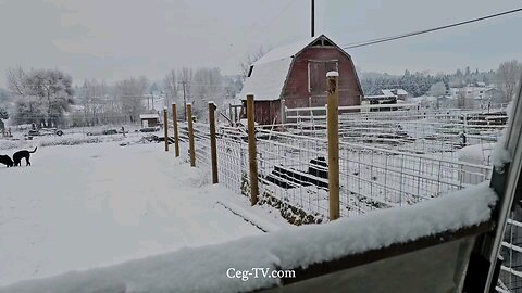 Graham Family Farm: 7:30 AM February 16th 2025