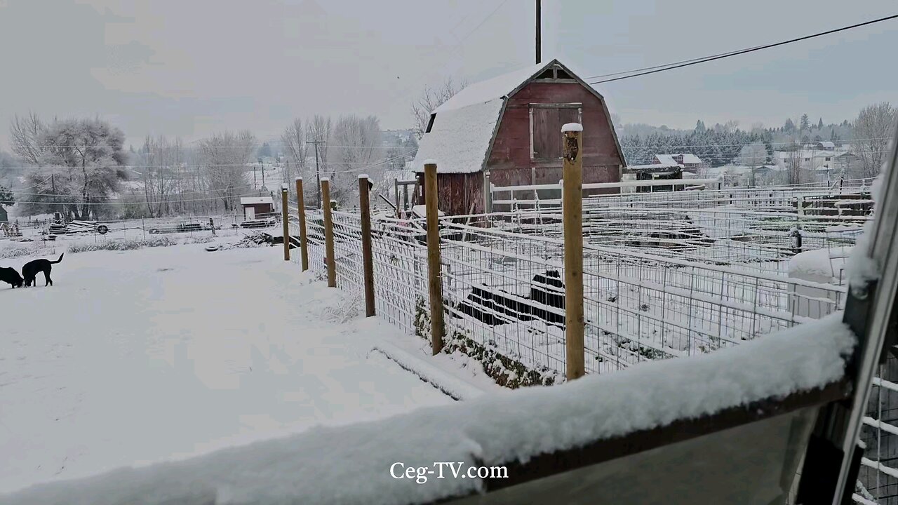 Graham Family Farm: 7:30 AM February 16th 2025