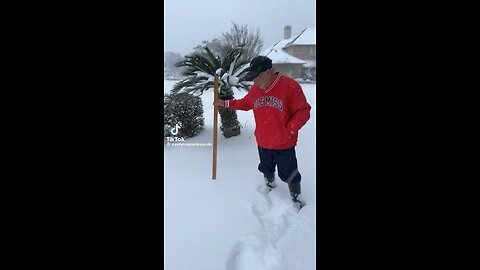New record of snowfall in Florida