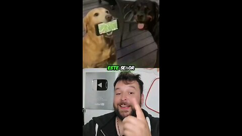 Este perrito se cree mesa 😅