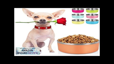 LIHONG Dog BowlsStainless Steel Dog Bowls for Small Meidum Sized DogsDog Food Review