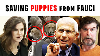 BREAKING: Nancy Mace SAVES PUPPIES From Dr. Fauci Experiments!