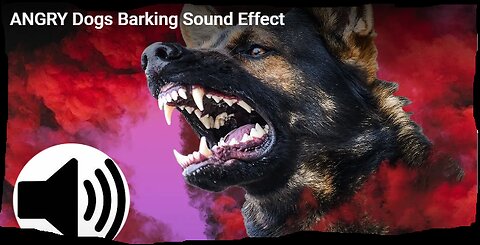 Dog barking sound effect