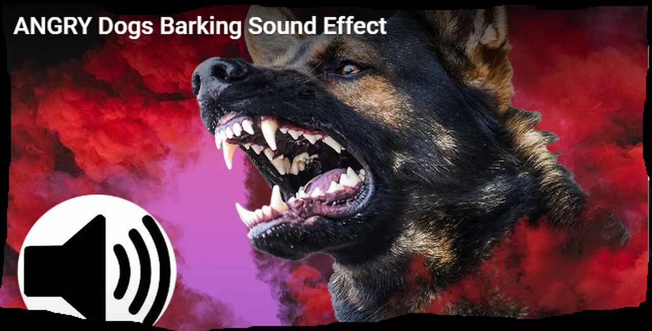 Dog barking sound effect