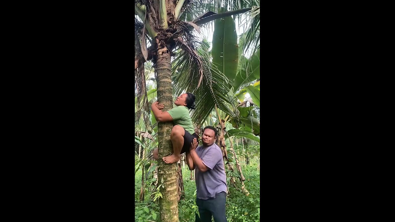 🤣🤣