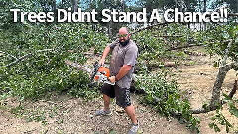 Emergency Big Tree Removal: Storm Almost Destroys Chicken Coop! | Storm Damage Cleanup