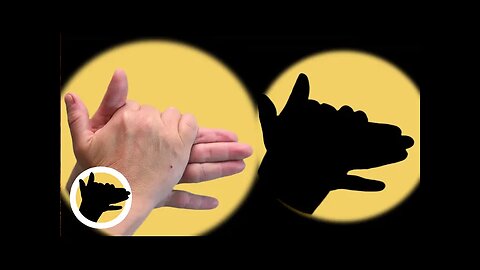 How to MAKE a SHADOW DOG with Your HANDS 🔦🤲🐶