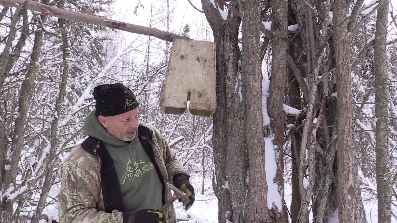 Trapping Inc Season 5 Episode 4
