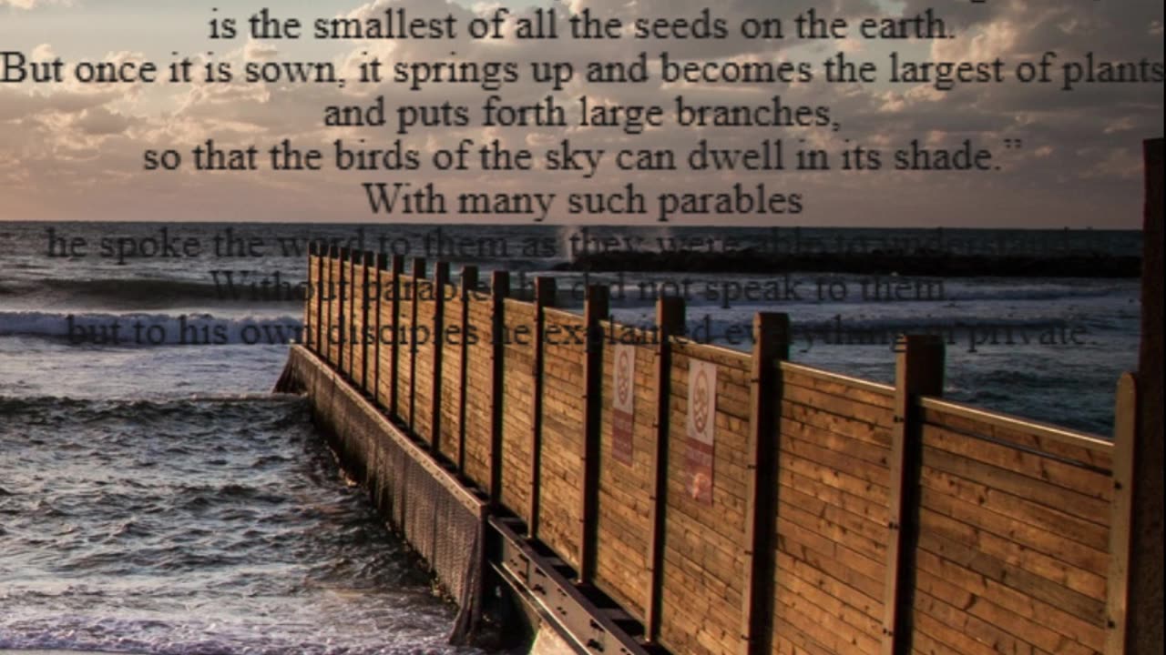 A reading from the Gospel according to Mark, 4:26-34