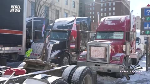Tom Marazzo Bio. + How the Freedom Convoy - Canada - Set the Standard for Opposing TYRANNY